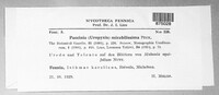 Puccinia mirabilissima image